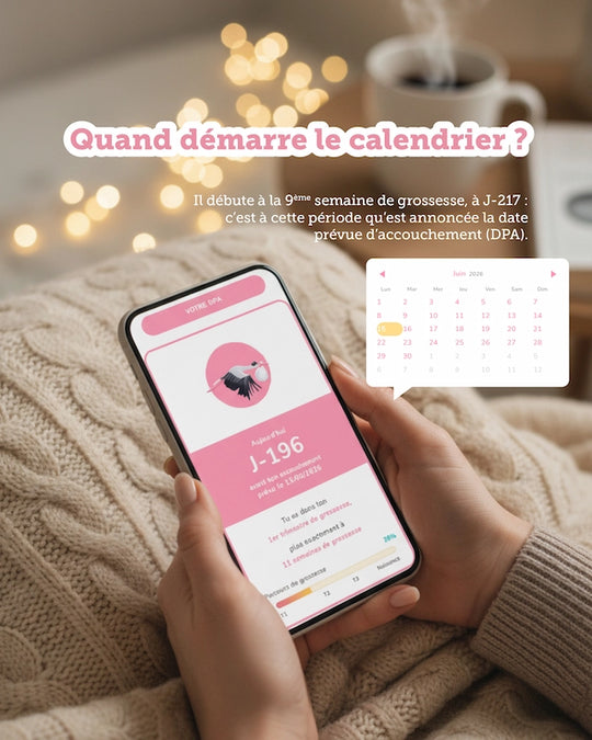 Calendrier Grossesse - Future Maman